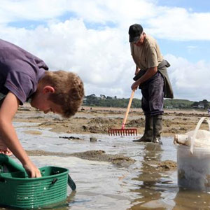 La pêche la cigale lhiver de vidéo