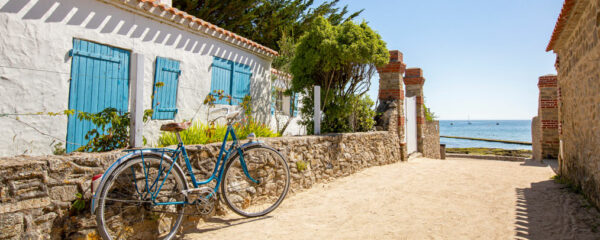 Visiter l'île de Ré en vélo